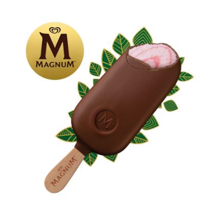 Bild von Magnum Raspberry Swirl vegan