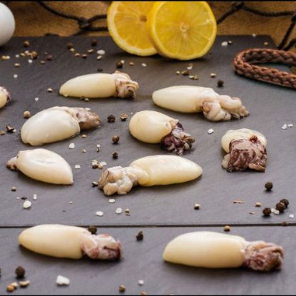 Bild von Sepia mit Kopf  U10