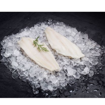 Bild von Heilbuttfilet ohne Haut, 200-400g mit der Beschreibung Weißes, festes Filet - 20% Glasur