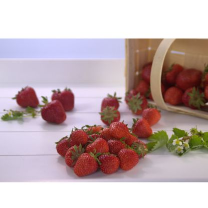 Erdbeeren
