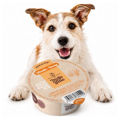 Bild von Molte Bello - Bio Hundeeis Vanille-Honig mit der Beschreibung Eis für Hunde ( und andere Haustiere ;-) Bio-zertifiziert & mit besten Zutaten.