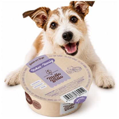 Bild von Molte Bello - Bio Hundeeis Kokos-Honig mit der Beschreibung Eis für Hunde ( und andere Haustiere ;-) Bio-zertifiziert & mit besten Zutaten.