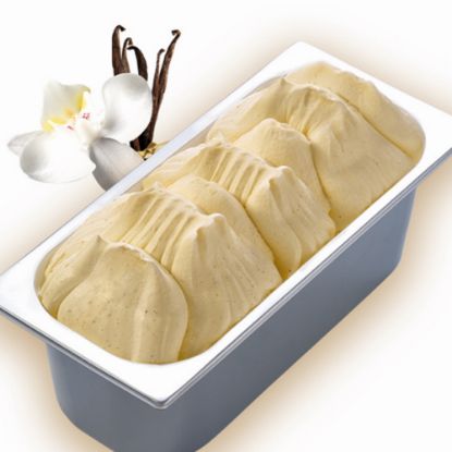 Bild von CDO Gelateria Vanille 5,5 L mit der Beschreibung Vanilleeis mit Vanilleextract aus Madagaskar, ohne deklarationspflichtige Zusatzstoffe