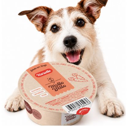 Molte Bello- Bio Hundeeis Karotte
