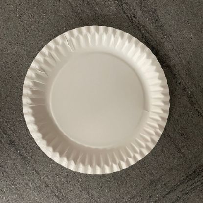Bild von Pappteller rund/weiß Ø23 cm mit der Beschreibung Frischfaser