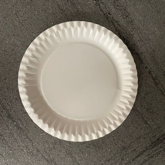 Bild von Pappteller rund/weiß Ø23 cm mit der Beschreibung Frischfaser