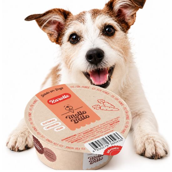 Bild von Molte Bello- Bio Hundeeis Karotte mit der Beschreibung Eis für Hunde ( und andere Haustiere ;-) Bio-zertifiziert & mit besten Zutaten.