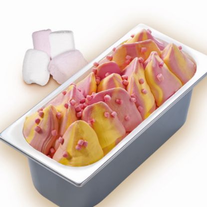 Bild von CDO Gelateria Bubble Gum Marshmallow mit der Beschreibung Eis mit Tutti-Frutti Kaugummigeschmack und Marshmallows